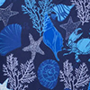 Sea Life