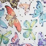 Butterfly Breeze