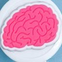Brain